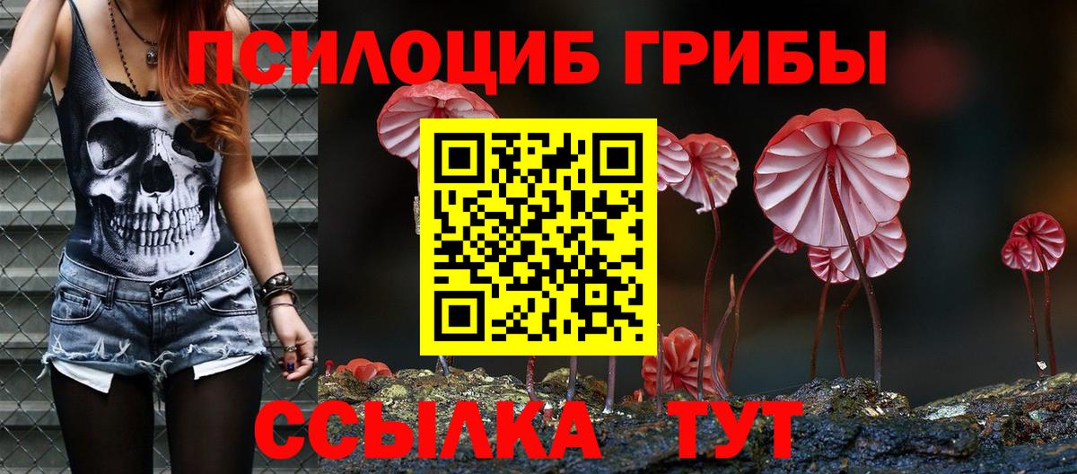 Междуреченск  Галлюциногенные грибы мухоморы  наркотики  Вход с VPN  Галлюциногенные грибы мухоморы 